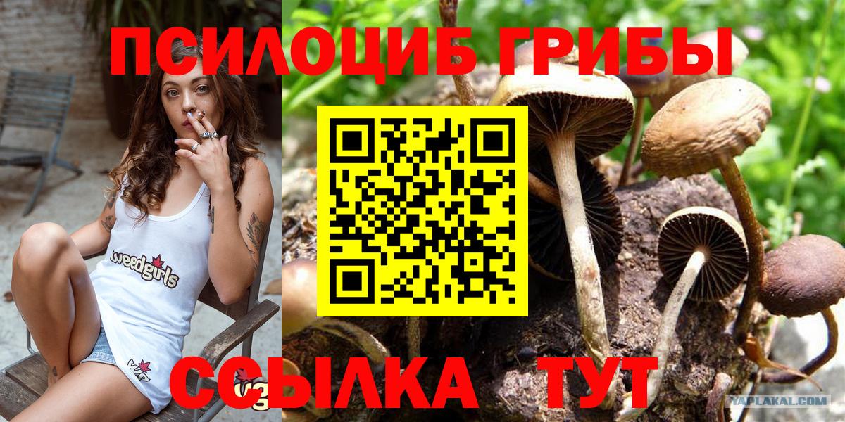 Псилоцибиновые грибы Cubensis Ялта